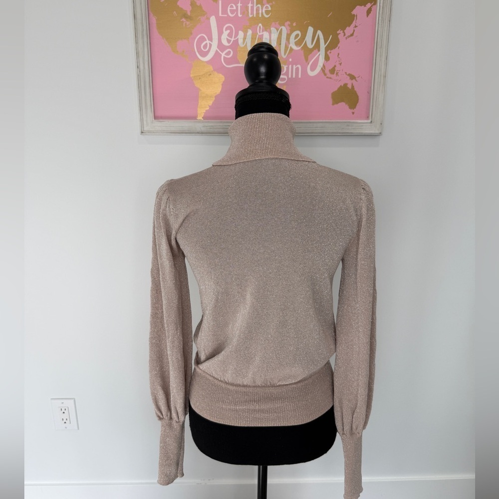 Forever 21 Sparkly Lightweight Nude Turtleneck (XS) - Picture 4 of 6